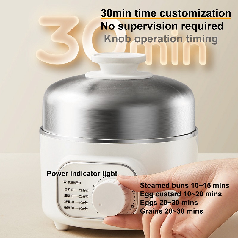 400W Multifunctional Egg Cooke - Baby Food Steamer review and price