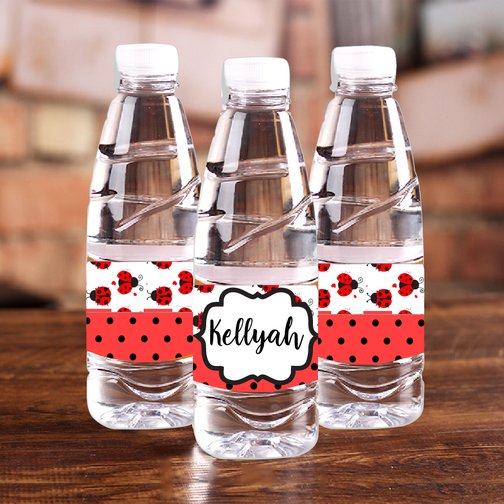 Personalised Ladybug Red Polka - Baby Food Name review and price